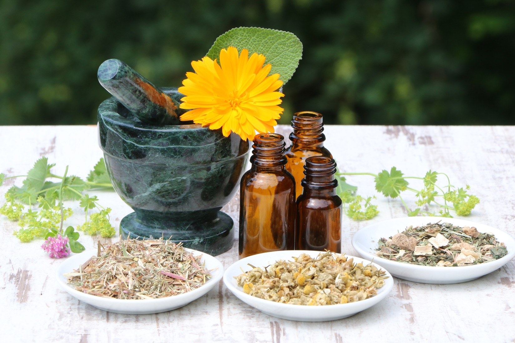 Phytotherapie Gesundheitspraxis ganzheitlicher Therapie